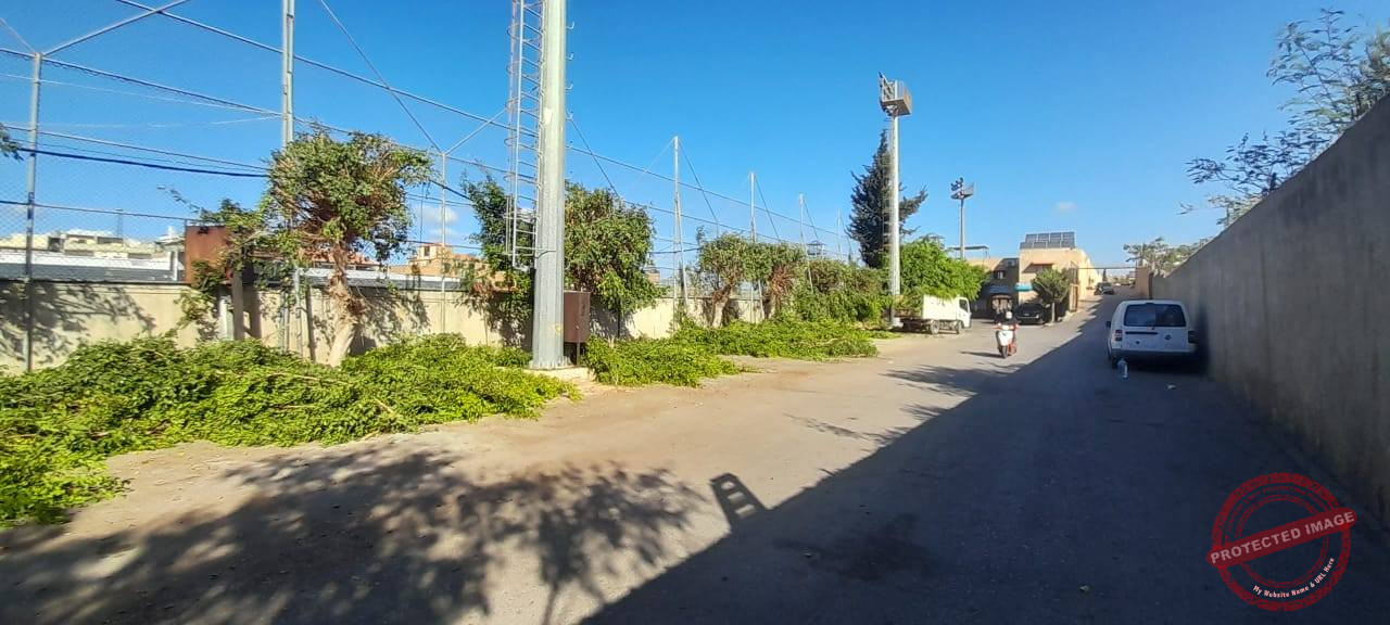 You are currently viewing بلدية برج البراجنة تشحيل الأشجار ضمن جهودها للحفاظ على جمال الشوارع