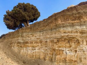 Read more about the article لبنان… لوحة جيولوجيّة فريدة ترسم تنوّع الطبيعة والإنسان