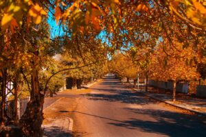 Read more about the article خريف صوفر لعام 2025