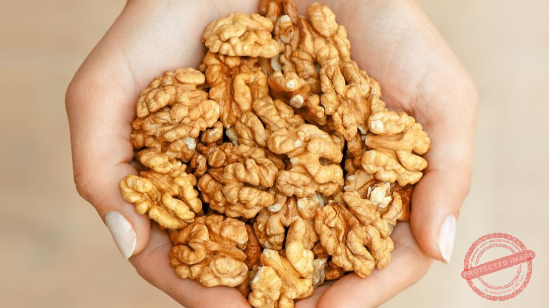 Read more about the article الجوز… سلاح طبيعي لمواجهة أمراض الشيخوخة وتعزيز صحة القلب والدماغ