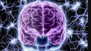 Read more about the article الذاكرة ليست حكرًا على الدماغ… دراسة تكشف أن خلايا الجسم الأخرى “تتعلّم” أيضًا