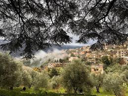 Read more about the article حملة تلقيح مجانية ضد الأنفلونزا في قرطبا برعاية وزارة الصحة