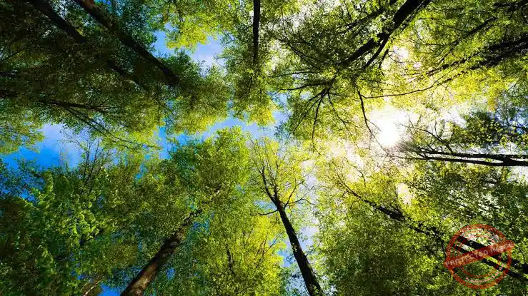 Read more about the article بيان بلدية رشميّا – تعميم وتحذير