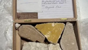 Read more about the article بريطاني يعيد قطعًا أثرية سُرقت من بومبي قبل 50 عامًا