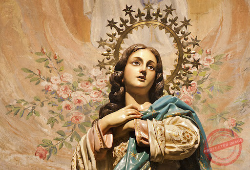 Read more about the article شفاعات مريم العذراء في أقوال القديسين: الطريق إلى الخلاص