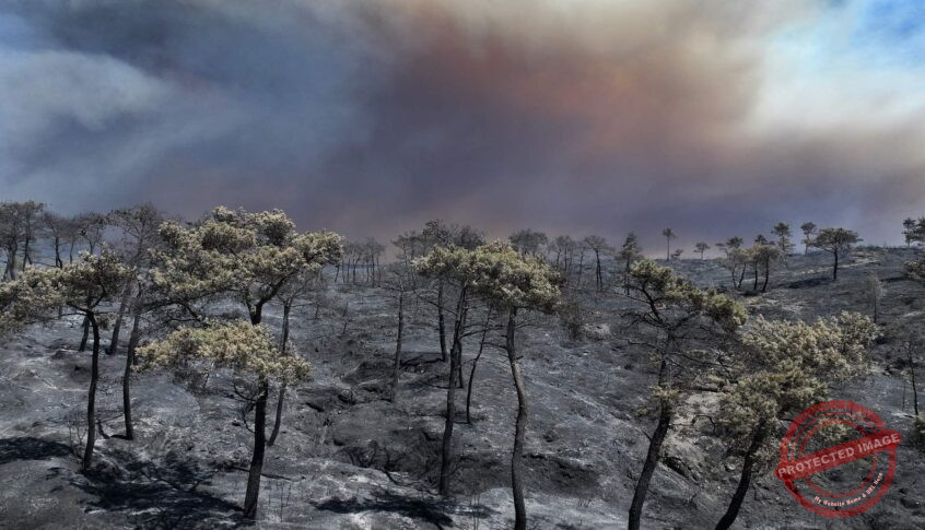 You are currently viewing عندقت تواجه حريقًا كبيرًا قرب النهر وتحذيرات من تمدده