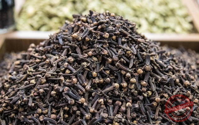 You are currently viewing الفوائد الصحية لمضغ القرنفل يوميًّا على معدة فارغة