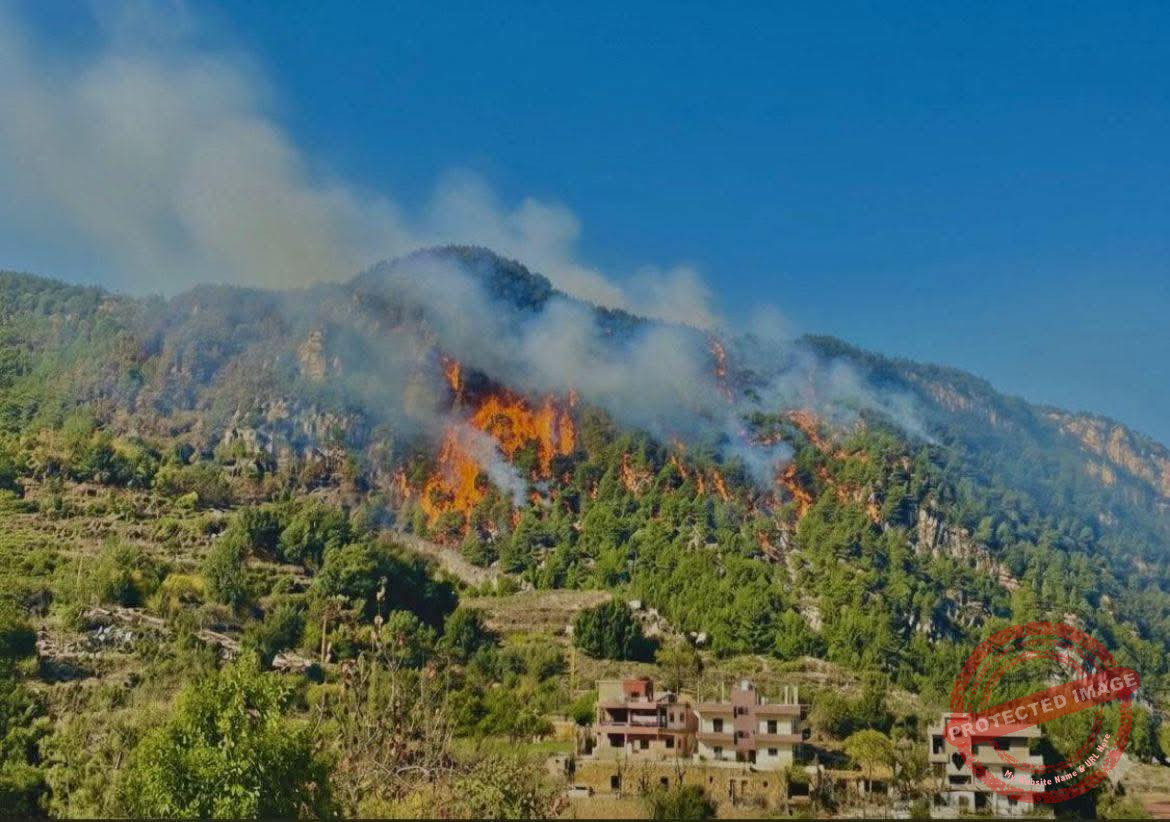 You are currently viewing حريق كبير يلتهم مساحات حرجية في بلدة دبعل – الضنية