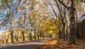 Read more about the article الطقس المتوقع في لبنان