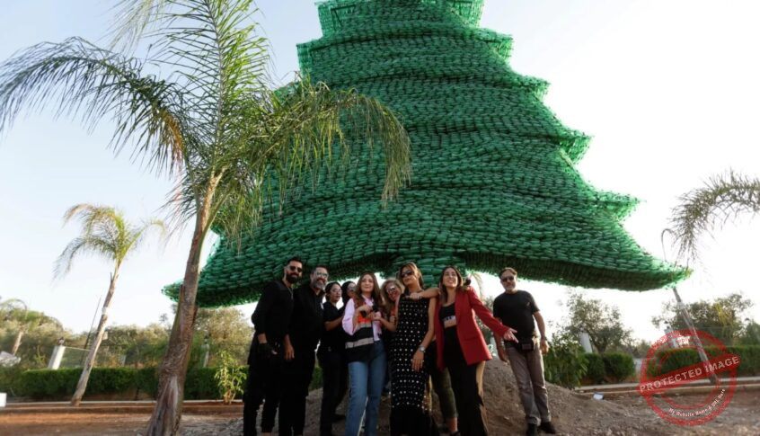 You are currently viewing كارولين شبطيني تدخل غينيس للمرة السادسة بأكبر أرزة بلاستيكية في العالم