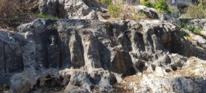 Read more about the article بابا روما… عليك بزيارة الجنوب