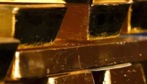 Read more about the article العثور على كنز ذهبي بقيمة 800 ألف دولار في شرق فرنسا أثناء أعمال منزلية