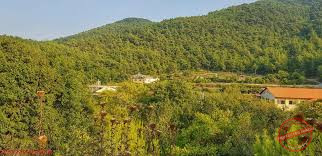 You are currently viewing وادي حلسبان: حيث تعبر الأسطورة من بين أغصان الشجر