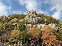 Read more about the article هناك… حيث ينام الضوء في خريف عشقوت