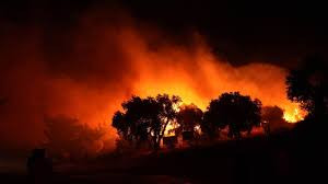 Read more about the article صرخة من قلب النار