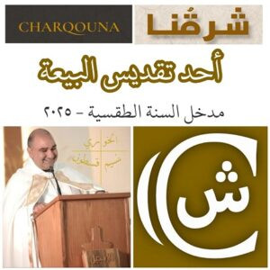 Read more about the article أحد تقديس البيعة