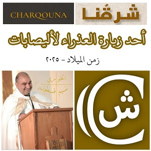 Read more about the article أحد زيارة العذراء لأليصابات