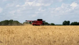 Read more about the article الصين تستأنف استيراد القمح الأميركي