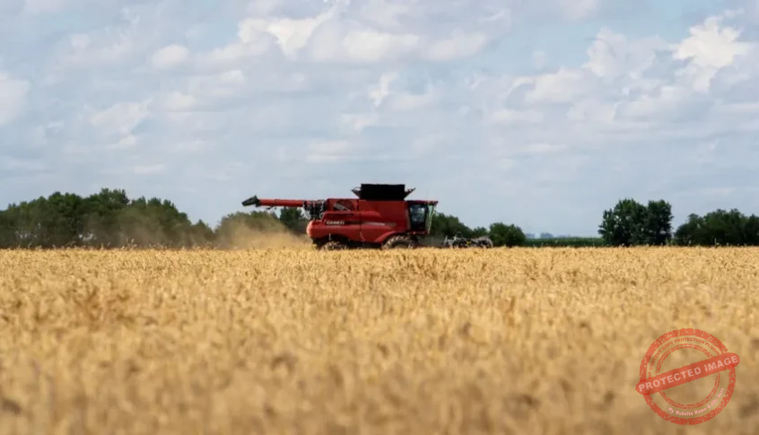 You are currently viewing الصين تستأنف استيراد القمح الأميركي