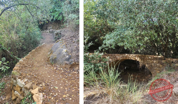 You are currently viewing اليوم العالمي للمشي الجبلي “هايكنغ”